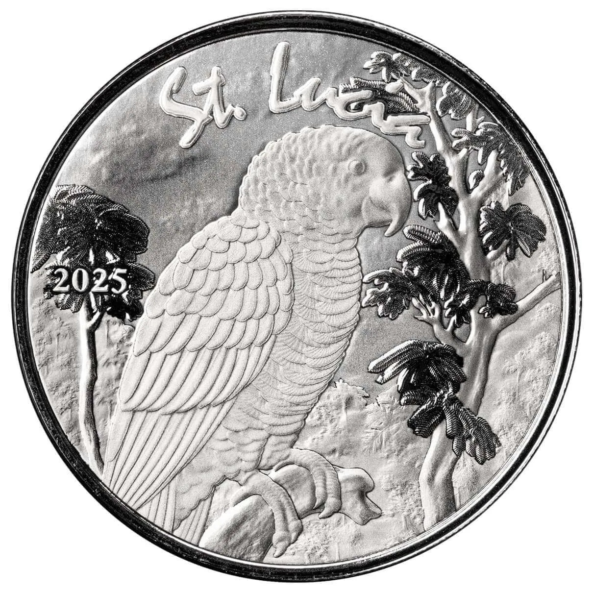 Scottsdale 2025 EC8 St. Lucia | African Grey Parrot Alpha Strike